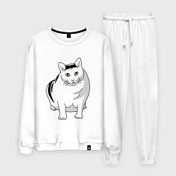 Костюм хлопковый мужской Бендер - мемный кот, цвет: белый