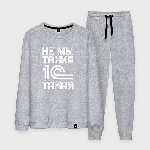 Мужской костюм Не мы такие - 1С такая / Меланж – фото 1