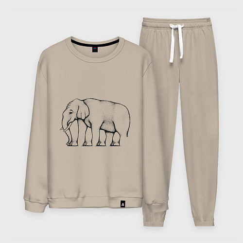 Мужской костюм Сколько ног у слона / Миндальный – фото 1