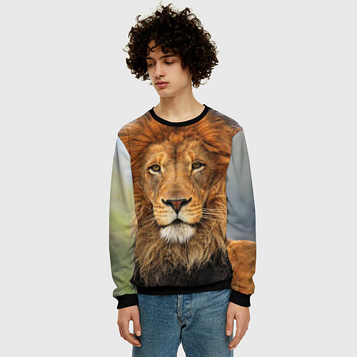 Мужской свитшот Красавец лев / 3D-Черный – фото 3