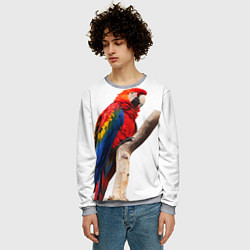 Свитшот мужской Яркий попугай, цвет: 3D-меланж — фото 2