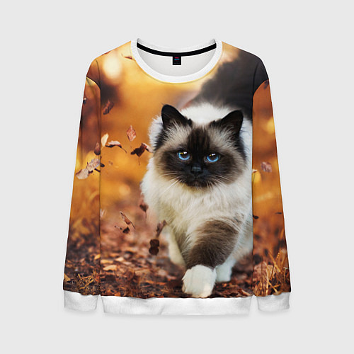 Мужской свитшот Котик в листьях / 3D-Белый – фото 1