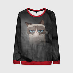 Свитшот мужской Grumpy Cat, цвет: 3D-красный