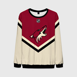 Свитшот мужской NHL: Arizona Coyotes, цвет: 3D-черный