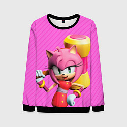 Свитшот мужской Amy Rose, цвет: 3D-черный