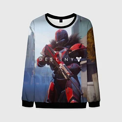 Свитшот мужской Destiny, цвет: 3D-черный