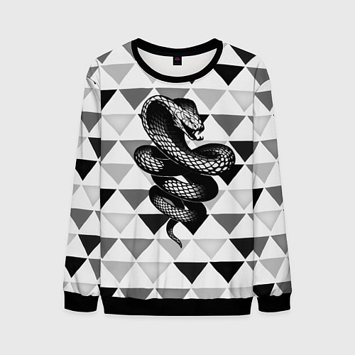 Мужской свитшот Snake Geometric / 3D-Черный – фото 1