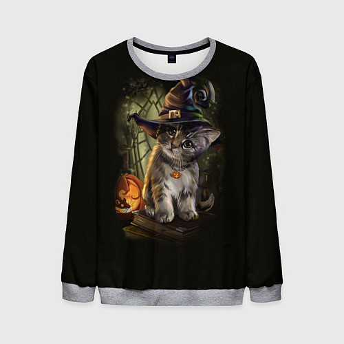 Мужской свитшот Ведьмин котенок / 3D-Меланж – фото 1