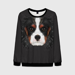 Свитшот мужской Cavalier King Charles, цвет: 3D-черный