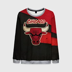 Свитшот мужской Chicago Bulls: Old Style, цвет: 3D-меланж