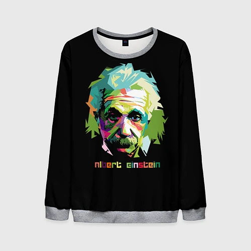 Мужской свитшот Albert Einstein / 3D-Меланж – фото 1