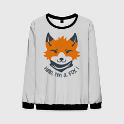 Свитшот мужской Hello Fox, цвет: 3D-черный