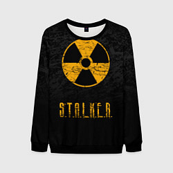 Свитшот мужской STALKER: Radioactive, цвет: 3D-черный