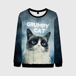 Свитшот мужской Grumpy Cat, цвет: 3D-черный