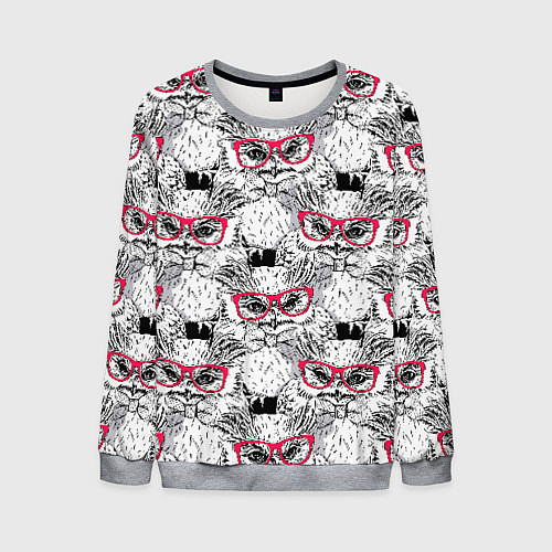 Мужской свитшот Совы в очках / 3D-Меланж – фото 1