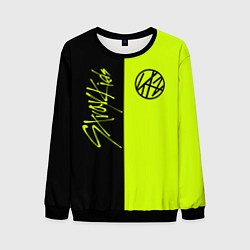 Мужской свитшот Stray Kids