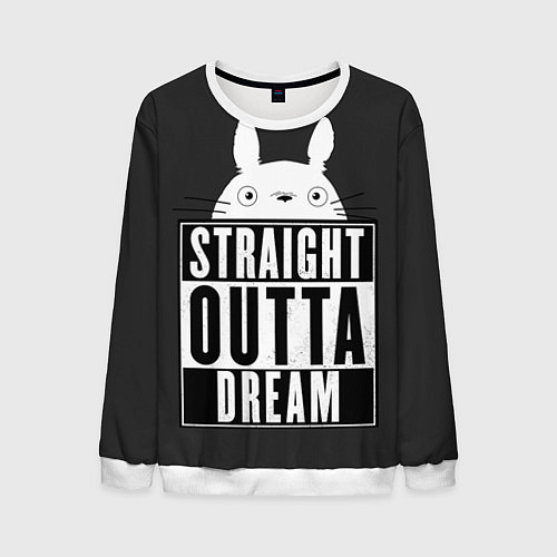 Мужской свитшот Тоторо Straight outta dream / 3D-Белый – фото 1