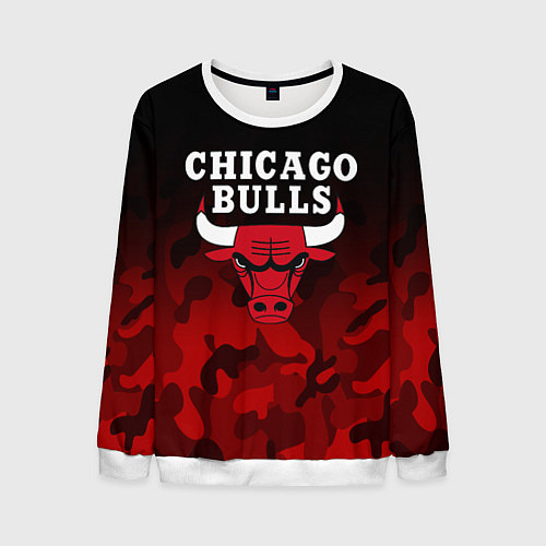 Мужской свитшот CHICAGO BULLS / 3D-Белый – фото 1