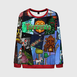 Свитшот мужской Terraria, цвет: 3D-красный