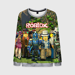 Мужской свитшот ROBLOX