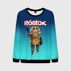 Свитшот мужской ROBLOX, цвет: 3D-черный