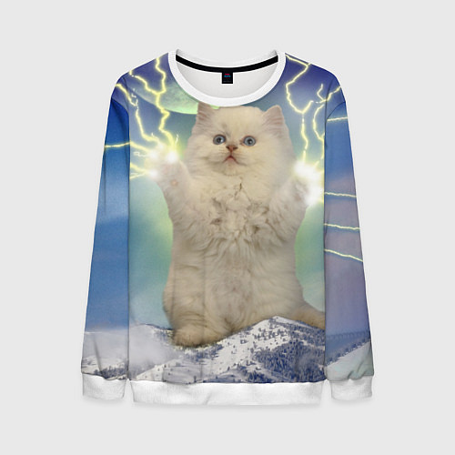 Мужской свитшот Грозовой Котик / 3D-Белый – фото 1