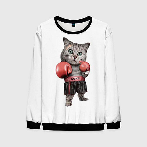 Мужской свитшот Кот боксёр / 3D-Черный – фото 1