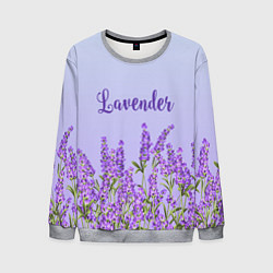Мужской свитшот Lavander