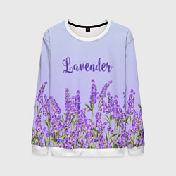 Мужской свитшот Lavander