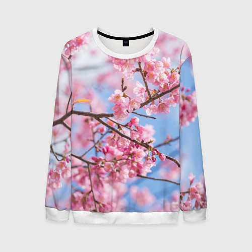 Мужской свитшот Ветки Сакуры / 3D-Белый – фото 1