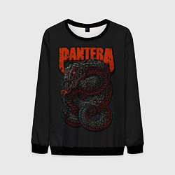 Мужской свитшот PANTERA