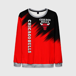 Мужской свитшот CHICAGO BULLS