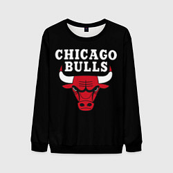 Свитшот мужской CHICAGO BULLS, цвет: 3D-черный