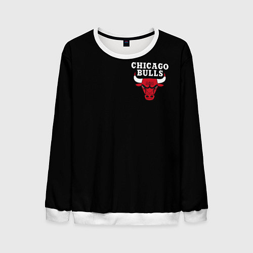 Мужской свитшот CHICAGO BULLS / 3D-Белый – фото 1