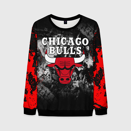 Мужской свитшот CHICAGO BULLS / 3D-Черный – фото 1