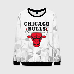 Мужской свитшот CHICAGO BULLS