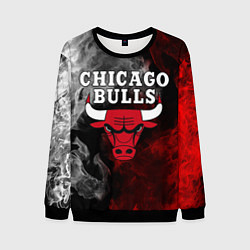 Свитшот мужской CHICAGO BULLS, цвет: 3D-черный