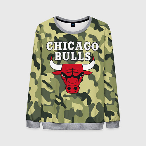 Мужской свитшот CHICAGO BULLS / 3D-Меланж – фото 1