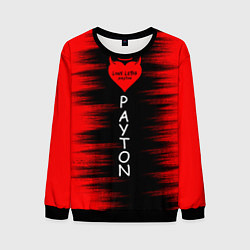 Свитшот мужской Payton, цвет: 3D-черный