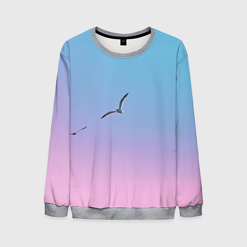 Мужской свитшот Чайки птицы полет градиент / 3D-Меланж – фото 1