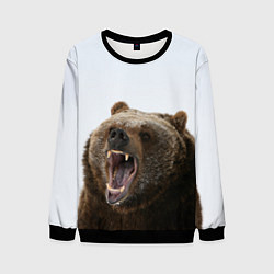 Свитшот мужской Bear, цвет: 3D-черный