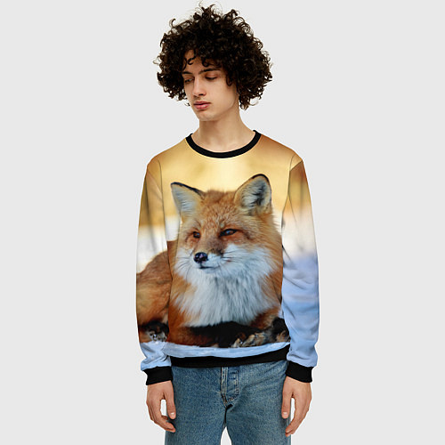 Мужской свитшот Лиса / 3D-Черный – фото 3