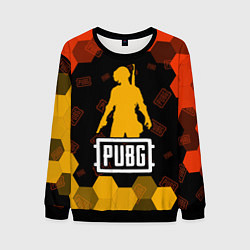 Мужской свитшот PUBG ПАБГ