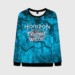 Мужской свитшот Horizon Zero Dawn