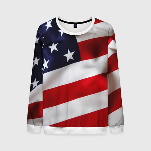 Мужской свитшот США USA / 3D-Белый – фото 1