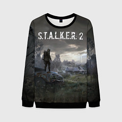 Свитшот мужской STALKER 2, цвет: 3D-черный