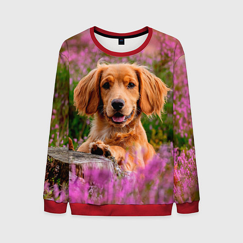 Мужской свитшот Dog / 3D-Красный – фото 1