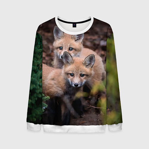 Мужской свитшот Лисички фото / 3D-Белый – фото 1