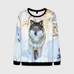 Свитшот мужской Я зимой, цвет: 3D-черный