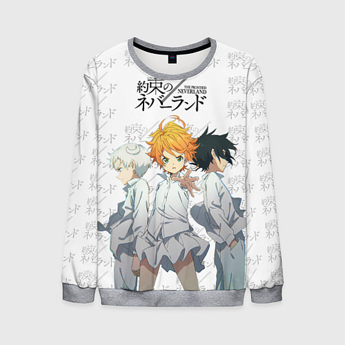 Мужской свитшот Персонажи Обещанный Неверленд / 3D-Меланж – фото 1